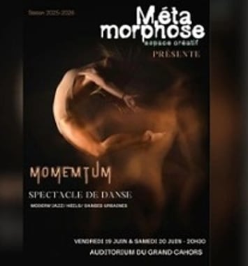 Momentum