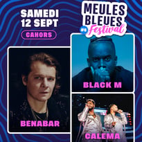 Bénabar, Black M et Calema