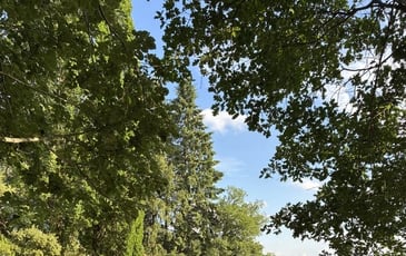 Visite du jardin de l'ancien couvent Meyronne