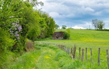 Les herbivores de la dernière glaciation : apport des découvertes dans l'igue du Gral en Quercy