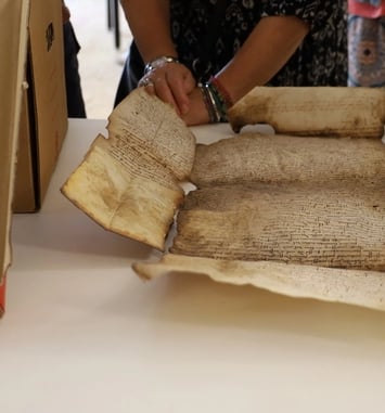 Atelier "La conservation en action"