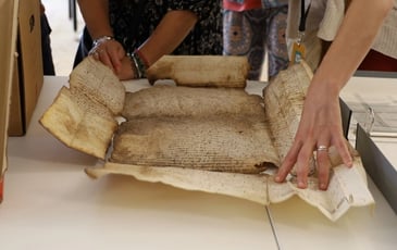 Atelier "La conservation en action"