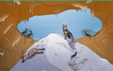 Conférence archéologique – Les herbivores de la dernière glaciation : apport des découvertes dans l'igue du Gral et en Quercy