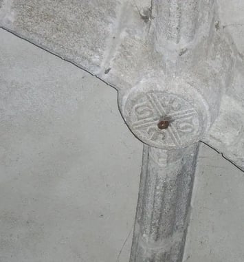 Visite libre de l'église Saint-Etienne de Calviac