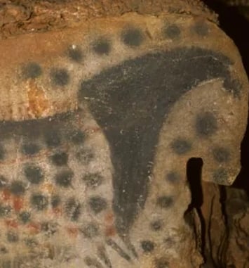 Visite guidée de la grotte ornée du Pech Merle