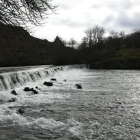 Visite commentée du moulin
