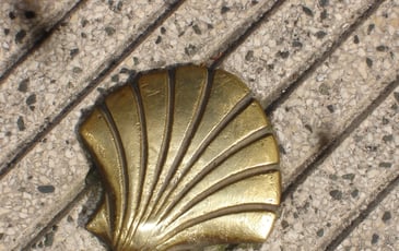 Vernissage : le jardin des coquilles