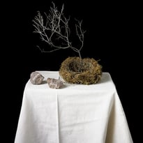 Sous les cendres de l'histoire – Exposition et ouverture de l'atelier de Natacha Nikouline, ça continue !