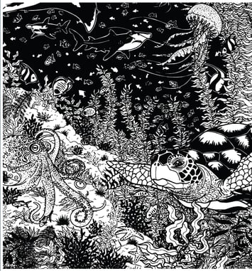 ''De l'eau d'ici à l'eau de là'' : exposition "Sanctuaire"